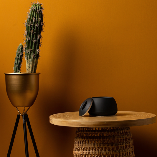 Dental Pod : Conseils et erreurs à éviter pour le nettoyage ultrasonique