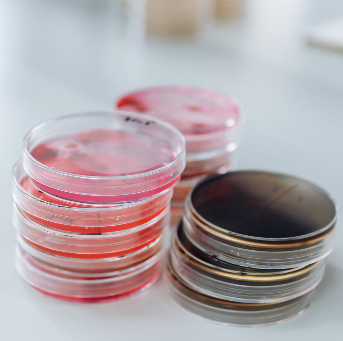 Les Dental Pods sont-ils vraiment efficaces ? Comparaison des différentes méthodes de nettoyage des aligneurs (2025)